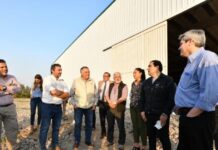 Jaldo visitó un emprendimiento citrícola en la comuna de Los Sarmientos y La Tipa Jaldo visitó un emprendimiento citrícola en la comuna de Los Sarmientos y La Tipa