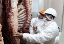 La carne vacuna se estabilizó con un 1,8% en el mes pasado La carne vacuna se estabilizó con un 1,8% en el mes pasado