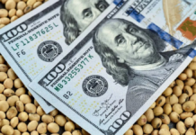 ya registra un ingreso de casi u$s500 millones ya registra un ingreso de casi u$s500 millones