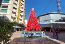 Las ventas navideñas en comercios minoristas bajaron 1,8% Las ventas navideñas en comercios minoristas bajaron 1,8%