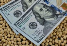 El Gobierno descartó implementar un nuevo dólar soja El Gobierno descartó implementar un nuevo dólar soja