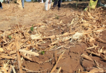 El Gobierno prorrogó el estado de emergencia agropecuaria en varias provincias El Gobierno prorrogó el estado de emergencia agropecuaria en varias provincias
