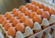 El pollo y los huevos aceleran la inflación en alimentos El pollo y los huevos aceleran la inflación en alimentos
