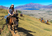 hay un alto porcentaje de reservas hay un alto porcentaje de reservas