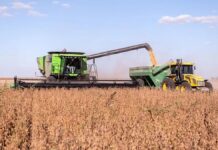 Desde este lunes entra en vigencia el dólar agro Desde este lunes entra en vigencia el dólar agro