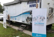 Suspenden la jornada de concientización por el Día del Animal Suspenden la jornada de concientización por el Día del Animal