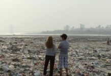 Un documental argentino y otro francés arriban al Espacio INCAA Un documental argentino y otro francés arriban al Espacio INCAA
