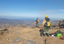 Brigadistas de Defensa Civil controlaron un incendio en San José de Chasquivil Brigadistas de Defensa Civil controlaron un incendio en San José de Chasquivil