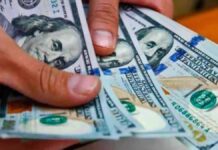 El dólar blue cayó por primera vez en 15 jornadas El dólar blue cayó por primera vez en 15 jornadas