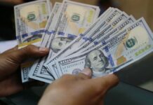 El dólar blue cerró el martes con un leve descenso El dólar blue cerró el martes con un leve descenso