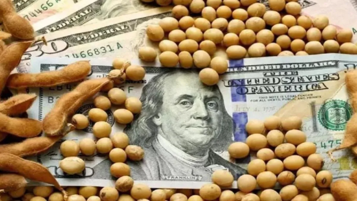 Lazan un nuevo dólar soja con el objetivo de acumular reservas en el Banco Central