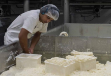 Una pyme argentina creó un queso sin lactosa y lo exportó a Brasil Una pyme argentina creó un queso sin lactosa y lo exportó a Brasil