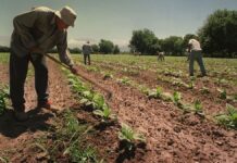 La prestación por desempleo tendrá una suba La prestación por desempleo tendrá una suba