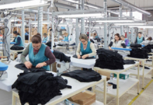 ¿Por qué el DNU de Milei complica a las Pymes? ¿Por qué el DNU de Milei complica a las Pymes?