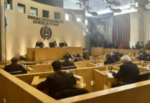 Escándalo por lo alimentos: Milei defendió a Pettovelo y apuntó a la «política miserable»