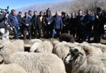 En Tafí del Valle, Jaldo entregó insumos a afectados por incendios