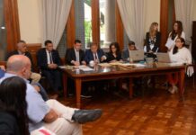 El Gobierno avanza en la adquisición de 100 colectivos