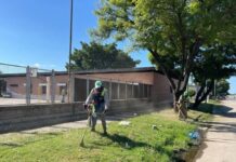 Obras Públicas: operativos de limpieza y reacondicionamiento en escuelas