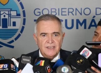 Tucumán impulsa la producción de café y fortalece su economía regional