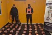 La Policía de Tucumán incautó 48 kilos de marihuana y detuvo a dos mujeres