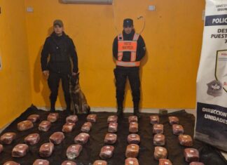 La Policía de Tucumán incautó 48 kilos de marihuana y detuvo a dos mujeres