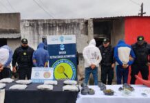 Secuestran gran cantidad de marihuana en Villa Amalia
