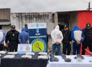 Secuestran gran cantidad de marihuana en Villa Amalia