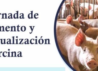 Tucumán realizará la Jornada de Fomento y Actualización Porcina