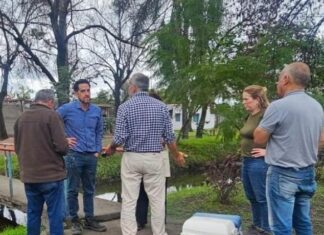 Medio Ambiente ordenó cesar actividades contaminantes en un ingenio