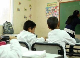 Partido de la Selección: el viernes las clases serán normales